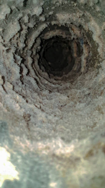Dryer Vent A dirty dryer vent that needs cleaning. dryer stock pictures, royalty-free photos & images