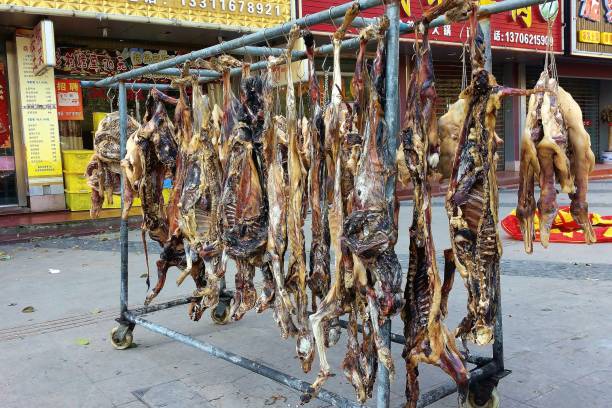 Drying Dog Meat On The Street stock photo