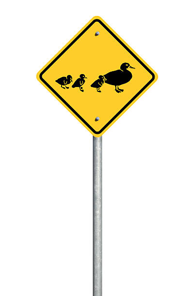Duck Crossing Road Sign stock photo