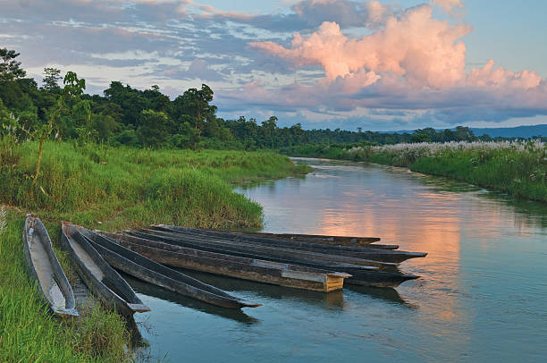 Dugout boats on river bank in Chitvan's national park in Nepal. Nature of Nepal. Foothills Himalayas at sunrise. chitwan stock pictures, royalty-free photos & images