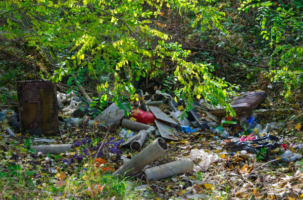 Dump in forest. Ecology, pollution of environment stock photo