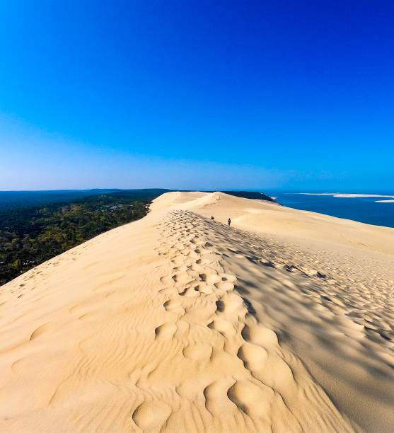 Dune of Pyla Morning walk on the top of the Dune of Pyla aquitaine photos stock pictures, royalty-free photos & images