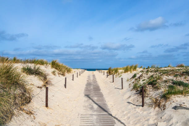 Dune on shore of the Baltic Sea in Warnemuende, Germany stock photo