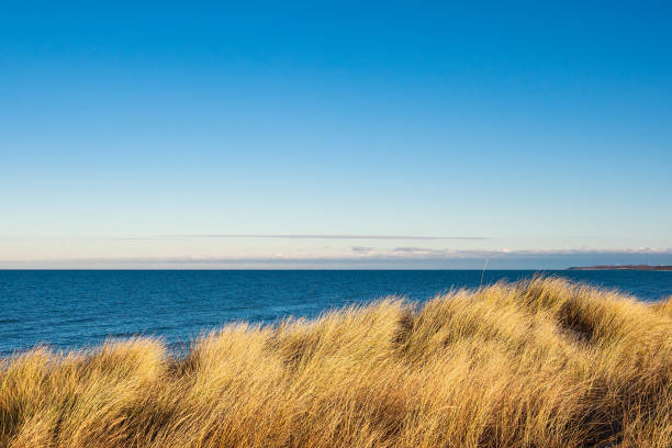 Dune on the Baltic Sea coast in Dierhagen, Germany stock photo