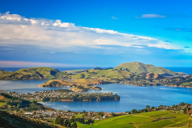 Dunedin town and bay as seen from the hills above stock photo