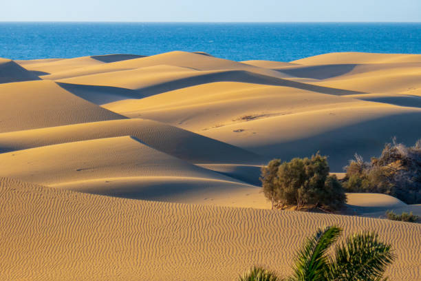 Dunes of Maspalomas, Gran Canaria stock photo