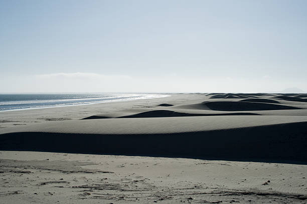 Dunes on the beach stock photo