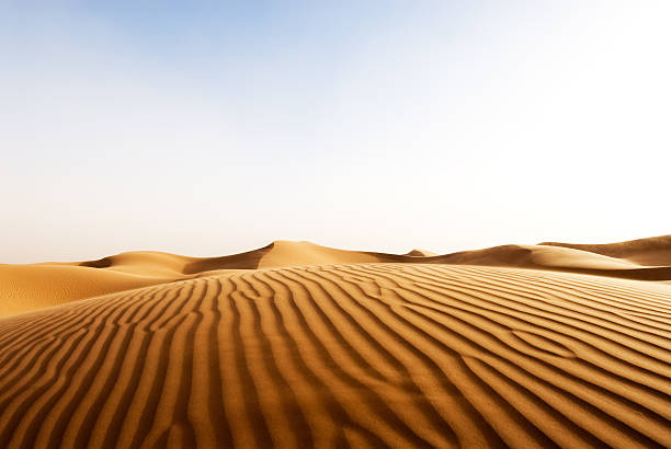 Dunes stock photo