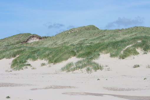 Dunes on the North Sea in the Netherlands