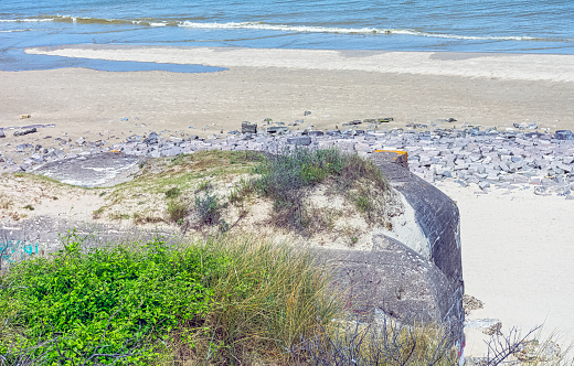 Résultat de recherche d'images pour "dune libre de dunkerque"