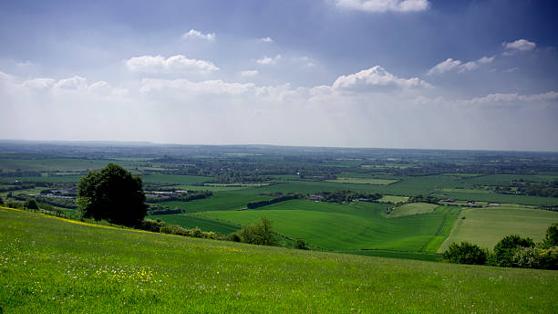 Dunstable Downs stock photo
