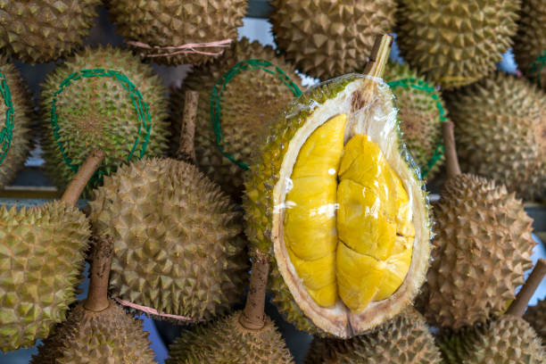 Durian fruit for sale on kiosk in Malaysia Small group of durian fruits on street markets kiosk in Kuala Lumpur bukit bintang stock pictures, royalty-free photos & images