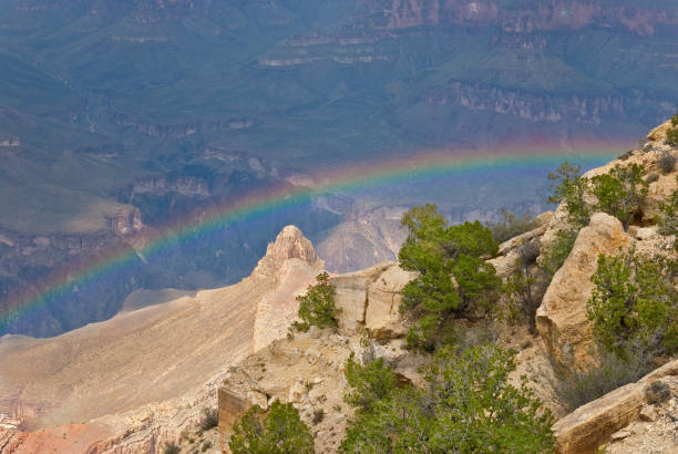 Rainbow in the Grand Canyon During summer storms rainbows are frequently seen in and around the Grand Canyon. This unusual rainbow appeared below the rim at Powell Point in Grand Canyon National Park, Arizona. jeff goulden rainbow stock pictures, royalty-free photos & images