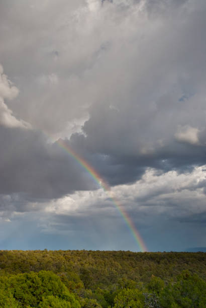 Rainbow Over a Juniper Forest During summer storms rainbows are frequently seen in and around the Grand Canyon. This rainbow appeared over a juniper forest near the East Entrance in Grand Canyon National Park, Arizona. jeff goulden rainbow stock pictures, royalty-free photos & images