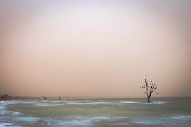 Dust Storm Lake Bonney South Australia stock photo