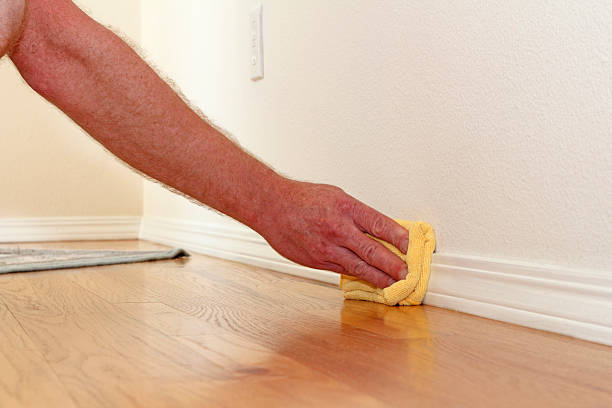Dusting a Baseboard stock photo