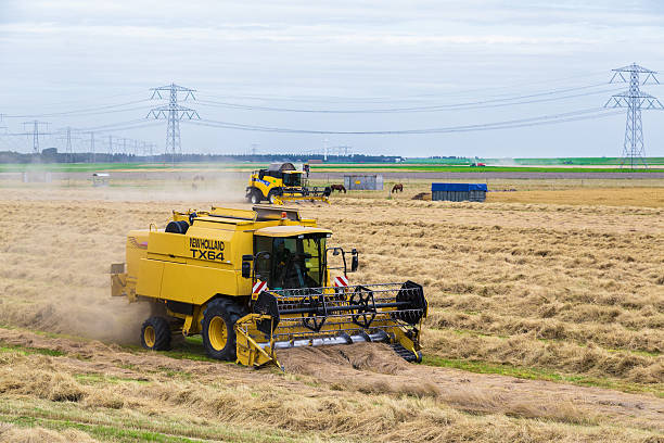 Dutch farmers with agricultural machinery harvesting a wheat field Nagele, The Netherlands - August 17, 2012: Dutch farmers with agricultural machinery busy with harvesting a wheat field in the Noordoostpolder near Nagele, The Netherlands flevoland stock pictures, royalty-free photos & images
