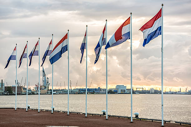 dutch flags mit rotterdam branche hafen im hintergrund - holländische flagge stock-fotos und bilder