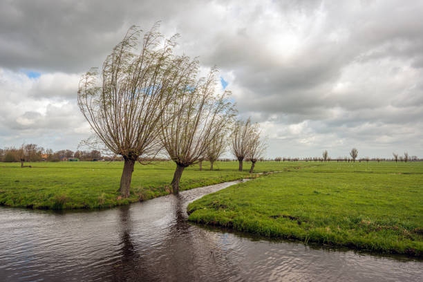 Dutch polder landscape on a stormy day stock photo