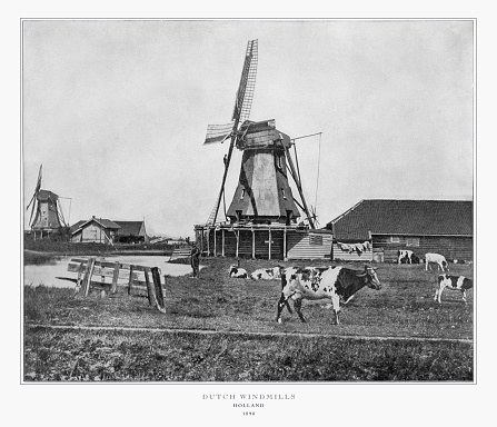 Antique Dutch Photograph: Dutch Windmills, Holland, 1893. Source: Original edition from my own archives. Copyright has expired on this artwork. Digitally restored.