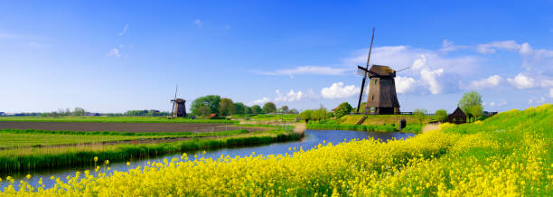 Dutch Windmills stock photo