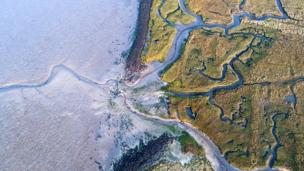 dijk, zout moeras en kustlijn - luchtfoto - drasland stockfoto's en -beelden