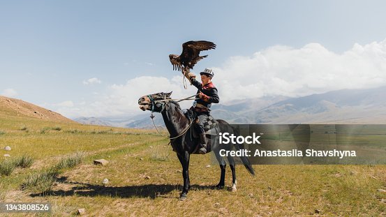 istock Eagle Hunter in traditional costume riding horse with Golden Eagle in the mountains of Central Asia 1343808526