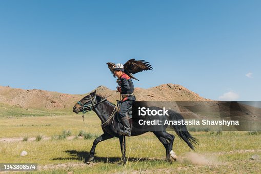 istock Eagle Hunter in traditional costume riding horse with Golden Eagle in the mountains of Central Asia 1343808574