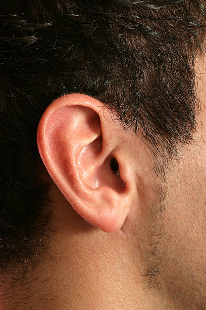 Ear Close-up of a man's ear. human ear stock pictures, royalty-free photos & images