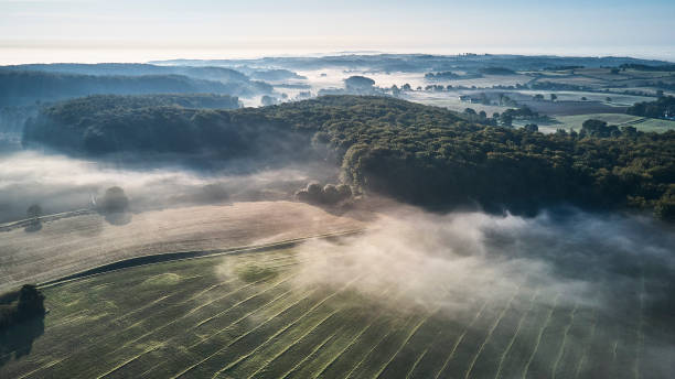 Early morning landscape Drone point of view. Danish landscape early morning with fog left as low hanging clouds. Agricultural nature a morning in autumn. denmark stock pictures, royalty-free photos & images