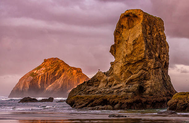 Early Morning Sunrise at Bandon, Oregon Sea Stacks Early Morning Sunrise at Bandon, Oregon Sea Stacks, with seagull perched on rock checking out the scene. rock formation stock pictures, royalty-free photos & images