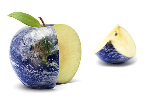 Earth Apple stock photo