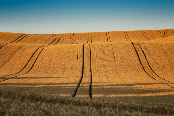 Earth waves background in South Moravia stock photo