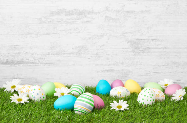 Easter eggs on green grass with wooden wall background.