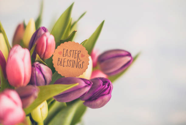 Easter background with vibrant pink and purple tulips and EASTER BLESSINGS message Easter background with vibrant pink and purple tulips and EASTER BLESSINGS message easter sunday stock pictures, royalty-free photos & images