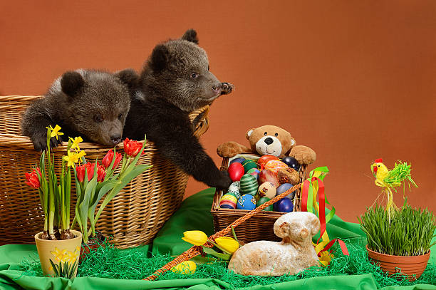 Easter bears stock photo