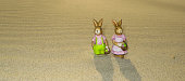 istock Easter Bunnies on the Beach 1362397130