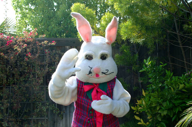 Easter Bunny at a backyard Easter egg Hunt stock photo