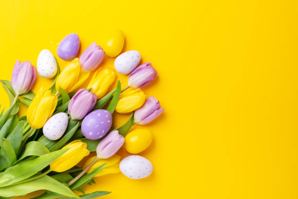 Easter composition. Multicolored easter eggs and tulips on yellow background. Easter concept. Copy space  easter sunday stock pictures, royalty-free photos & images