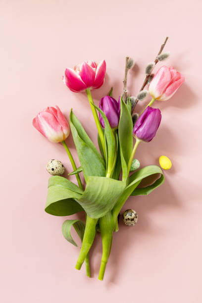 Easter composition with colorful Easter eggs and spring flowers tulips over pink background. Spring and Easter holiday concept. Top view flat lay. stock photo