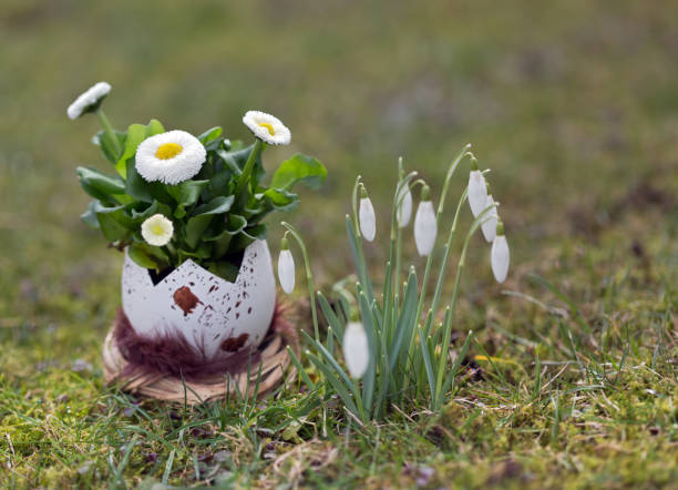 Easter decoration outdoors  easter sunday stock pictures, royalty-free photos & images