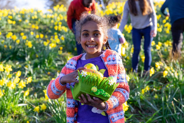 Easter Egg Hunt Winner! A young girl standing in a field of daffodil flowers in Hexham, Northumberland. She has been searching for eggs on an Easter egg hunt, she is holding her basket with her collection of eggs. easter sunday stock pictures, royalty-free photos & images