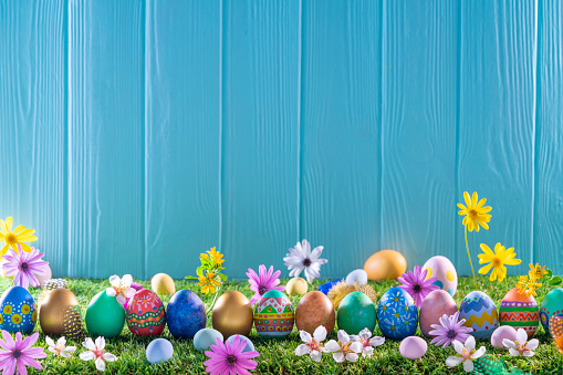 Easter eggs on turf grass and blue wooden wall with spring vivid flowers