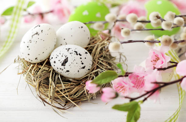 easter eggs stock photo