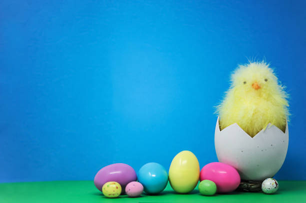 Easter eggs  easter sunday stock pictures, royalty-free photos & images