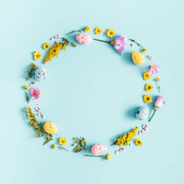 Easter eggs, purple and yellow flowers on blue background. Flat lay, top view, copy space, square Easter eggs, purple and yellow flowers on pastel blue background. Spring, easter concept. Flat lay, top view, copy space, square adobe backgrounds stock pictures, royalty-free photos & images