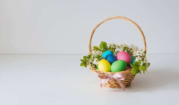Easter eggs with cherry blossoms in a basket on white background. Easter greeting card with copy space. stock photo