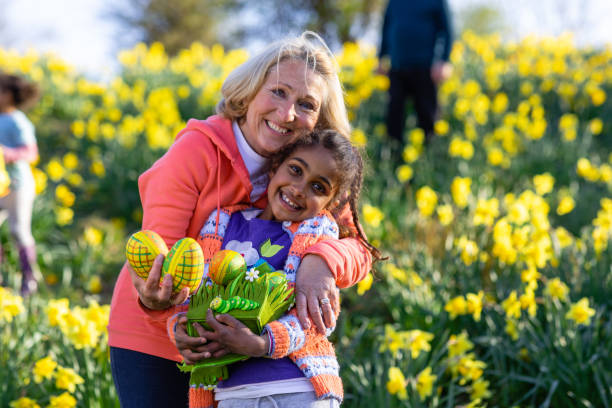 Easter Hugs with Grandmother! A young girl standing in a field of daffodil flowers with her grandmother in Hexham, Northumberland. She is searching for eggs on an Easter egg hunt, she is holding her basket to collect the eggs. She is sharing a hug with her grandmother, they are smiling and looking at the camera. easter sunday stock pictures, royalty-free photos & images