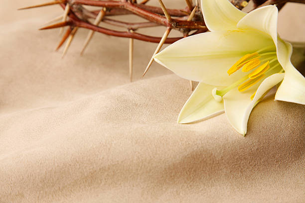 Easter Lily and Crown of Thorns A fresh easter lily and a crown of thorns on a tan background. good friday stock pictures, royalty-free photos & images