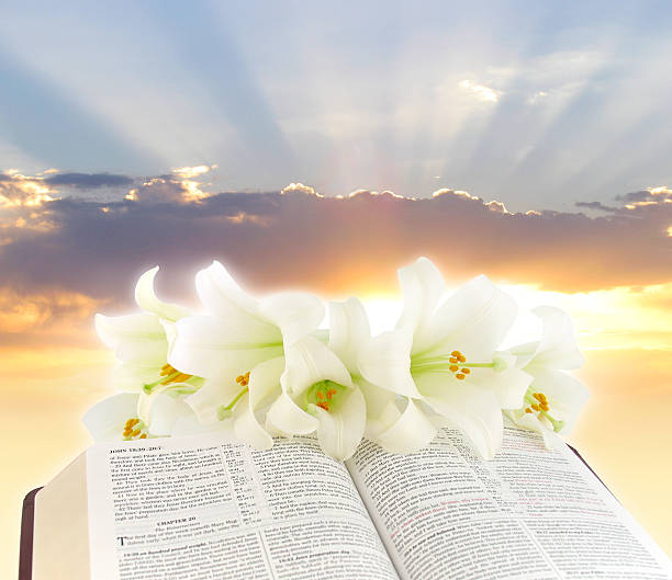 Easter Morning  easter sunday stock pictures, royalty-free photos & images